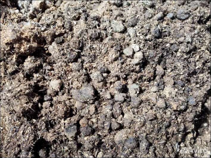 Опилки с конским навозом (конская подстилка) 50 ли