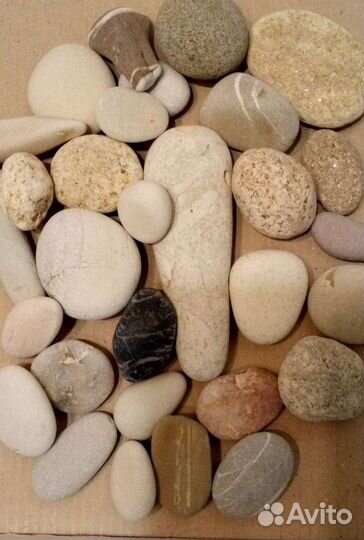 Коллекция морских камней