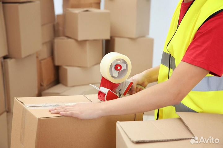 Укладчик-упаковщик