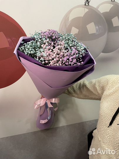 Букет Цветы Гипсофила Живые цветы