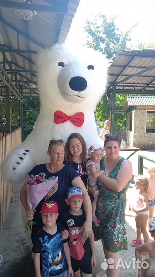 Белый медведь/Большой белый мишка/аниматор