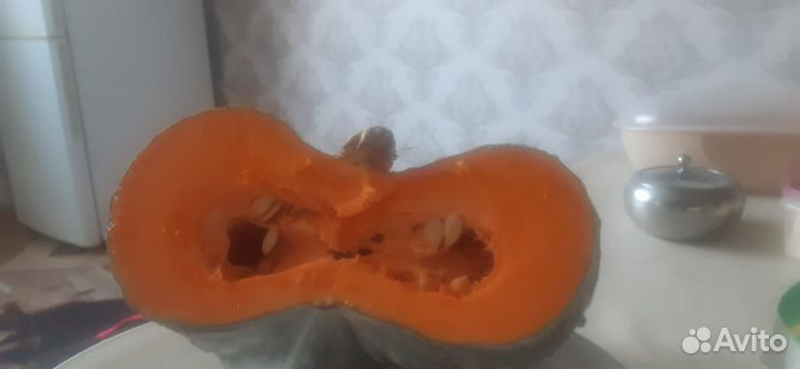 Тыква мраморная