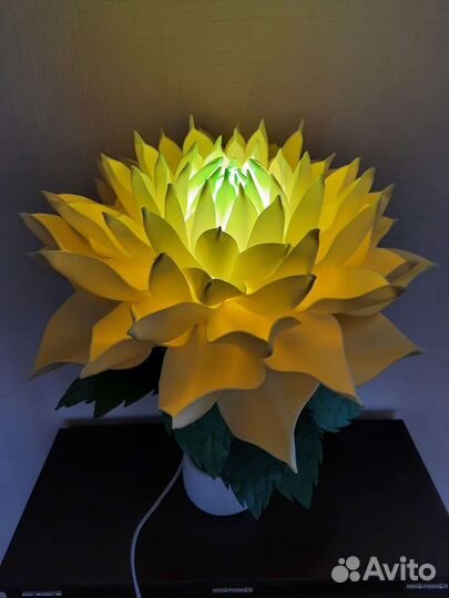 Цветы для интерьера