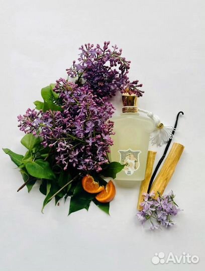 Xerjoff Dama Bianca 100 ml