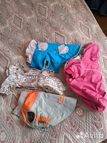 Одежда для маленьких собак бу