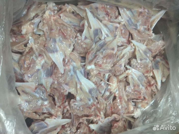 Курыни Кости