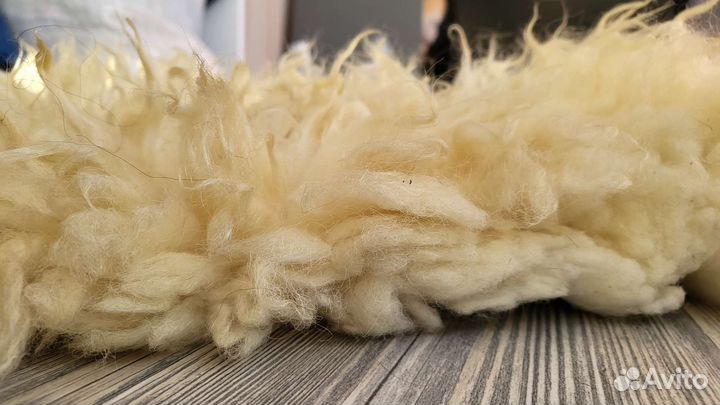 Шкурка животного