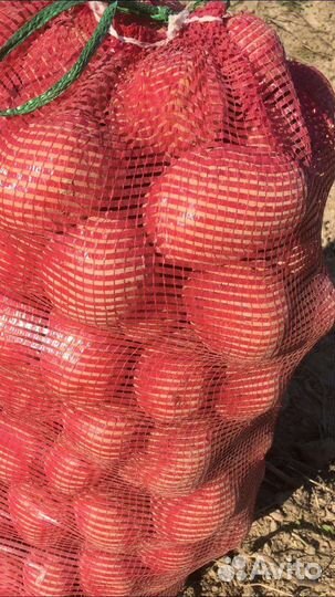 Продам картофель с доставкой