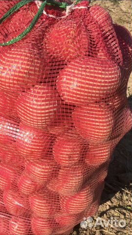 Продам картофель с доставкой