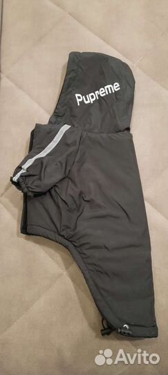 Одежда для средних собак, новое