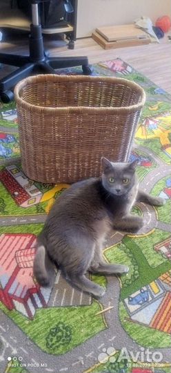 Корзина плетёная из бумажной лозы