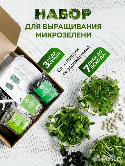 Набор для выращивания микрозелени