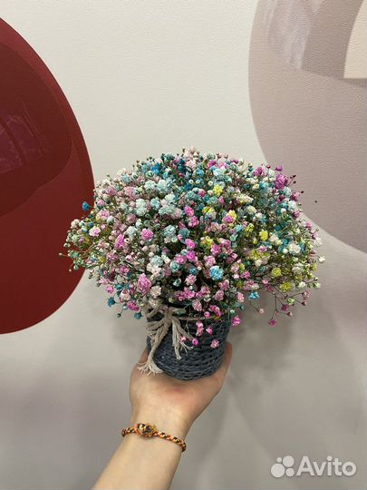 Гипсофила живые цветы подарок композиции