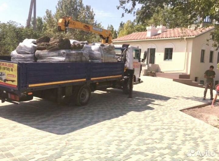 Рулонный газон 