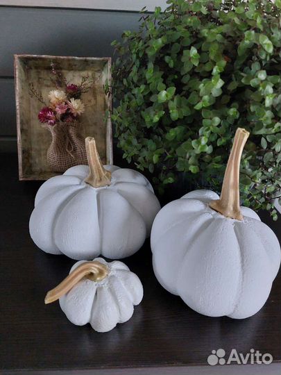 Тыква декоративная