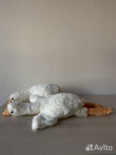 Гусь обнимусь