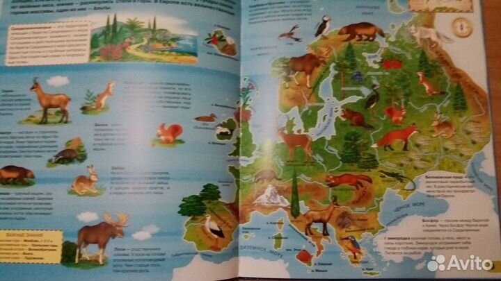 Иллюстрированный атлас мира