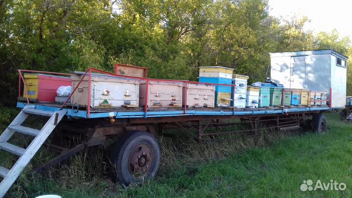 Пчелоприцепы все