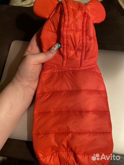 Одежда для собак