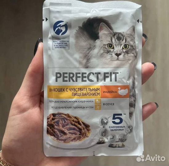 Корм для котов