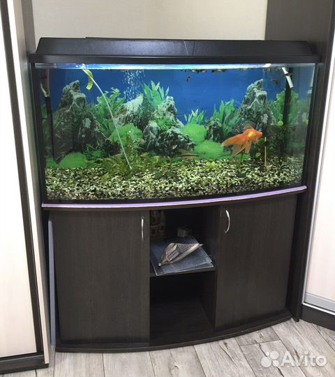 Аквариум
