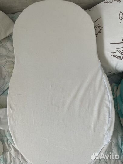 Кокон зевушка