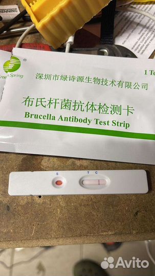 Тест на трихинеллез кабана, бруцеллез для всех вид
