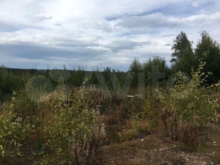 Участок 10 сот. (ИЖС)