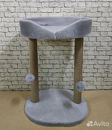 Когтеточка Марсела