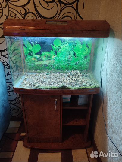 Аквариум с тумбой 100 лит