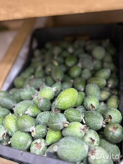 Клубника свежая