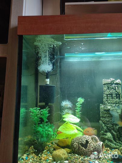 Продам аквариум