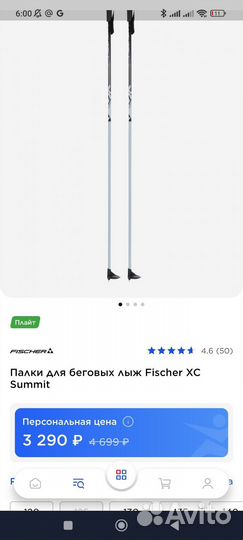 Лыжные палки