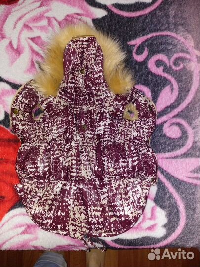 Одежда для маленьких собак