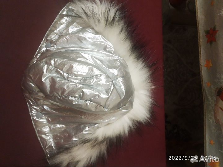 Одежда для маленьких собак