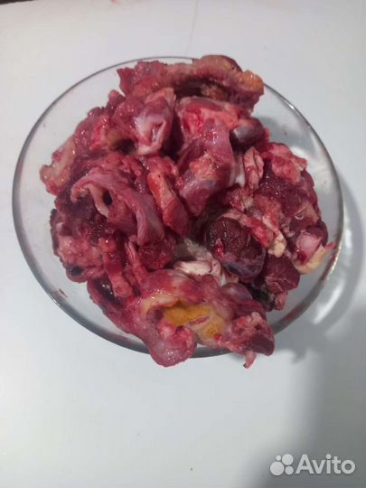 Говяжий корм для собак