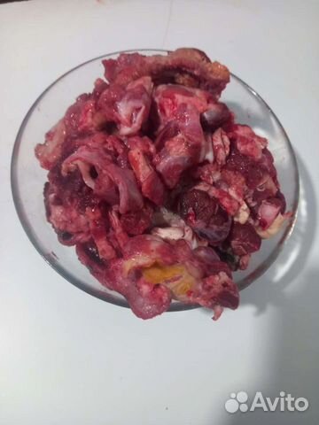 Говяжий корм для собак