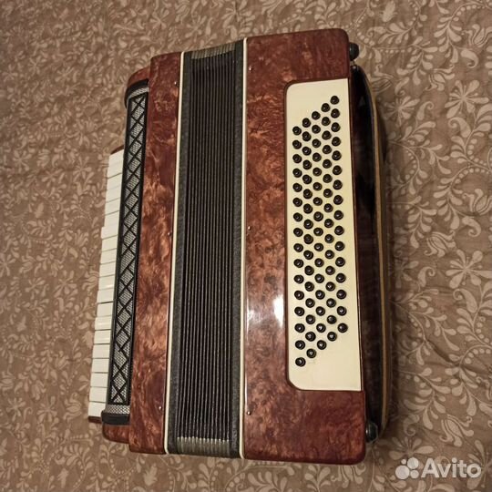 Аккордеон 
