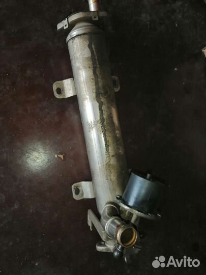 Радиатор циркуляции газов на фольксваген