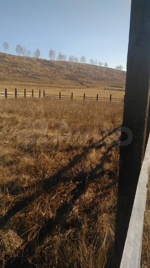 Участок 12,5 сот. (ИЖС)