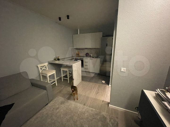 1-к. квартира, 42,1 м², 16/19 эт.