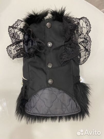 Платье/курточка для собак мелких пород