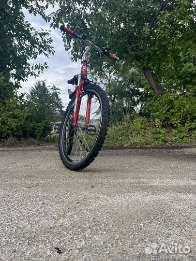 Велосипед xds