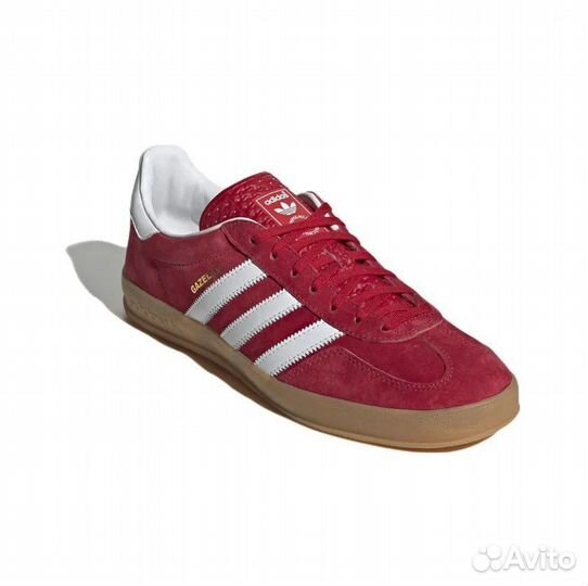 Adidas Gazelle Indoor Scarlet Cloud White