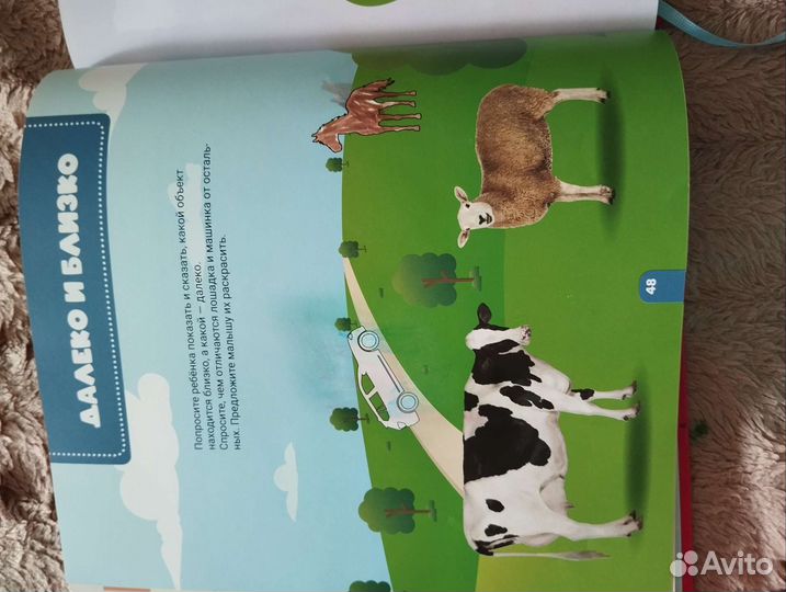 Шамиль Ахмадуллин, развивающая книга 2+