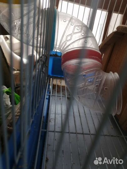 Клетка для хомяка