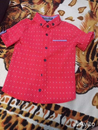 Рубашки для мальчика