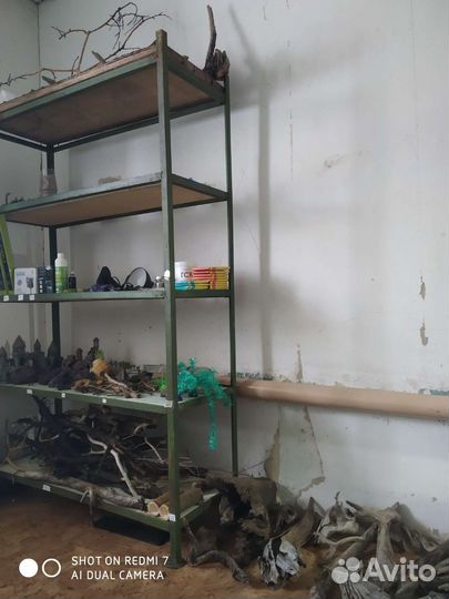 Аквариумные рыбки