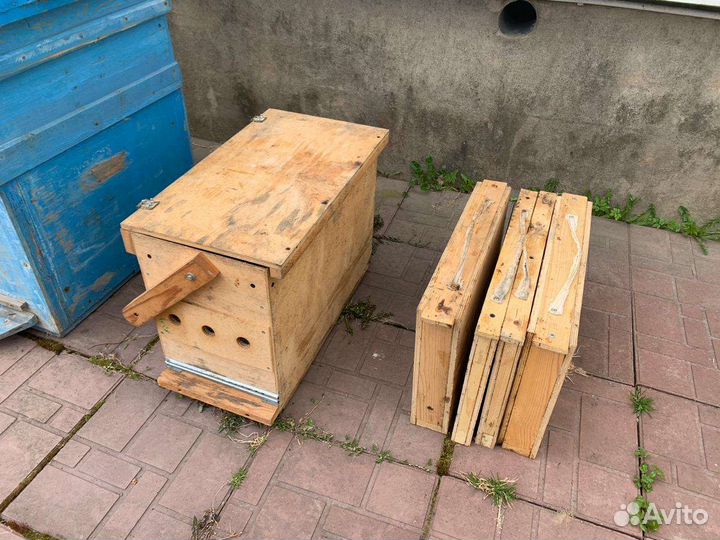 Улей Дадан 16