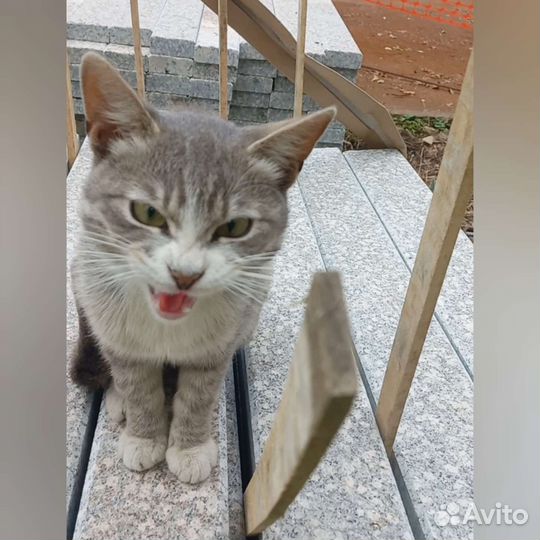 Настоящий пацан